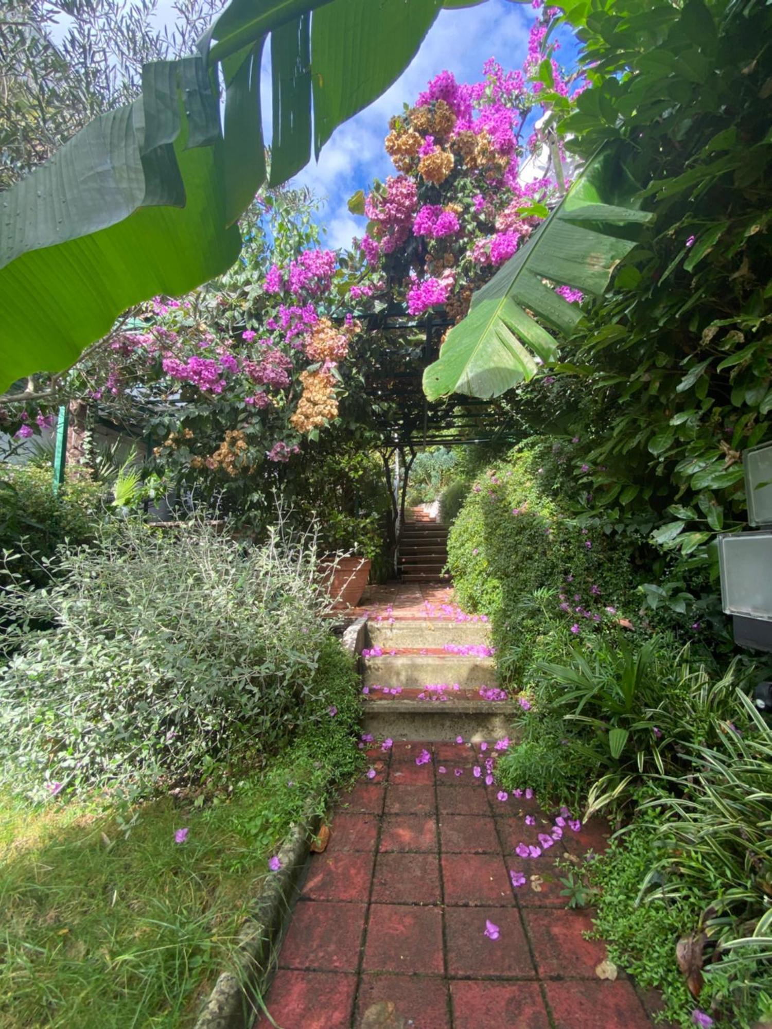 Ferienwohnung Sunny Garden Opatija Exterior foto